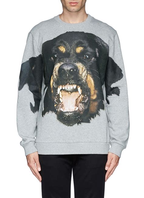 givenchy rottweiler sweatshirt xxl|givenchy rottweiler shirt price.